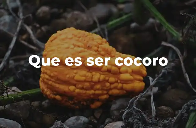 Que es Ser Cocoro