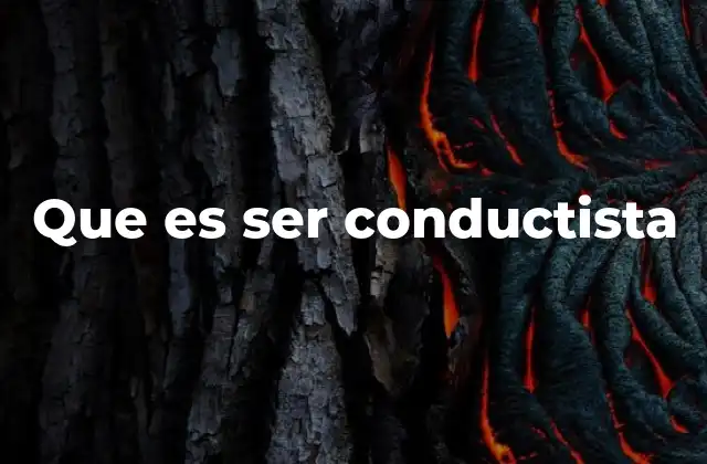 Que es Ser Conductista