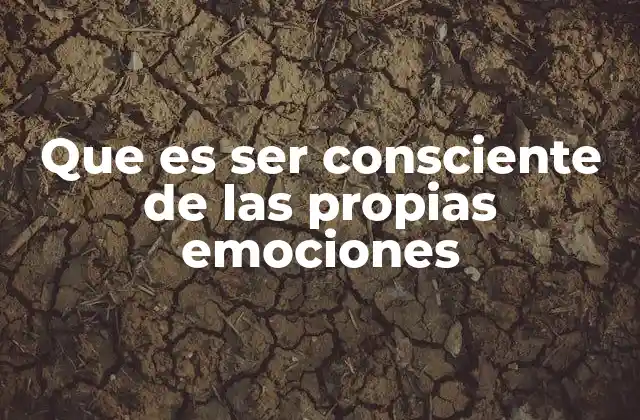 Que es Ser Consciente de las Propias Emociones