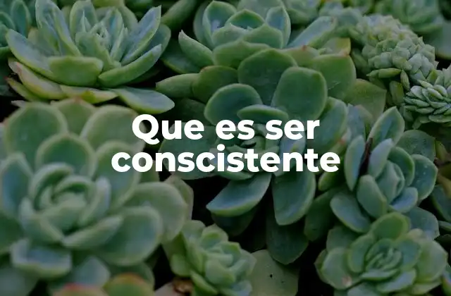 Que es Ser Conscistente 2 La importancia de la consciencia en la vida cotidiana