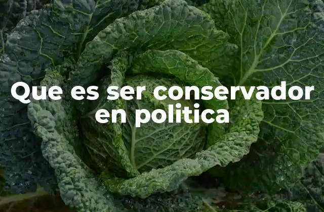 Que es Ser Conservador en Politica