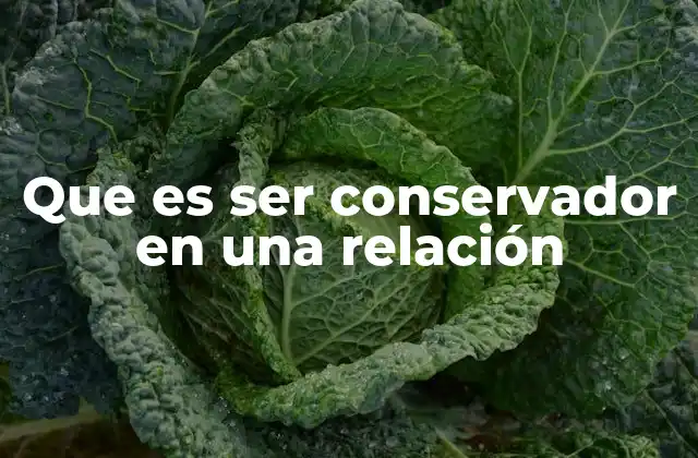 Que es Ser Conservador en una Relación