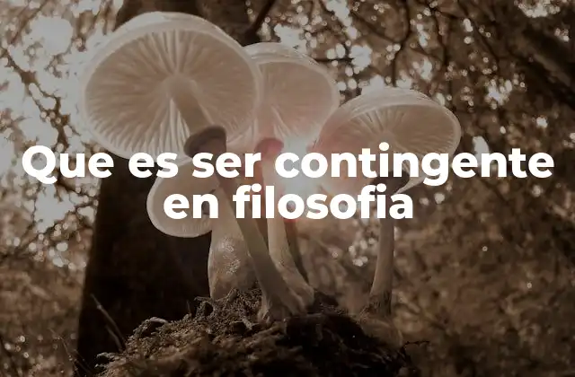 Que es Ser Contingente en Filosofia