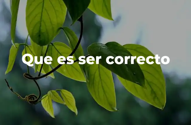 Que es Ser Correcto 2 La importancia de los valores en la vida cotidiana