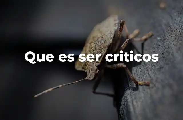 Que es Ser Criticos
