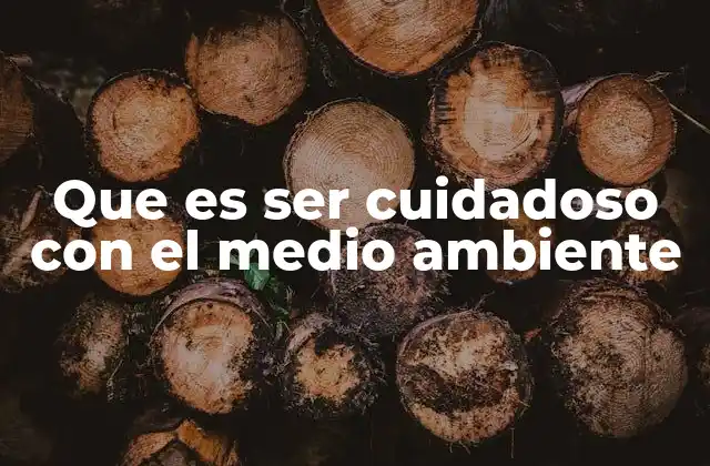 Que es Ser Cuidadoso con el Medio Ambiente