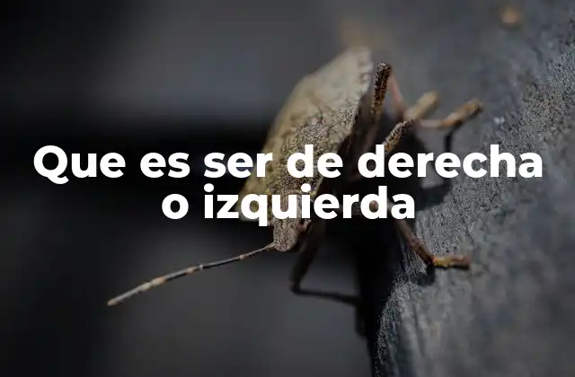 Que es Ser de Derecha o Izquierda