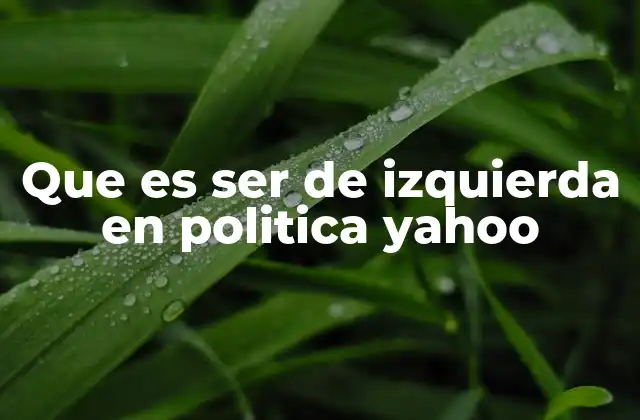Que es Ser de Izquierda en Politica Yahoo