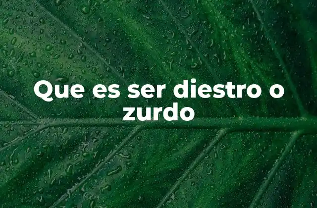 Que es Ser Diestro o Zurdo