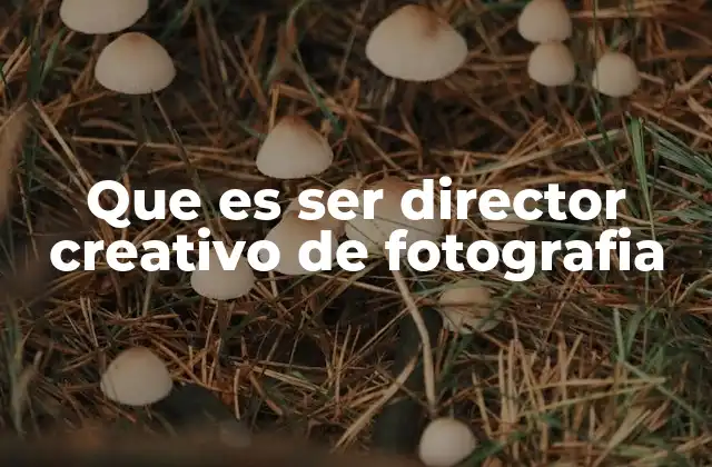 Que es Ser Director Creativo de Fotografia
