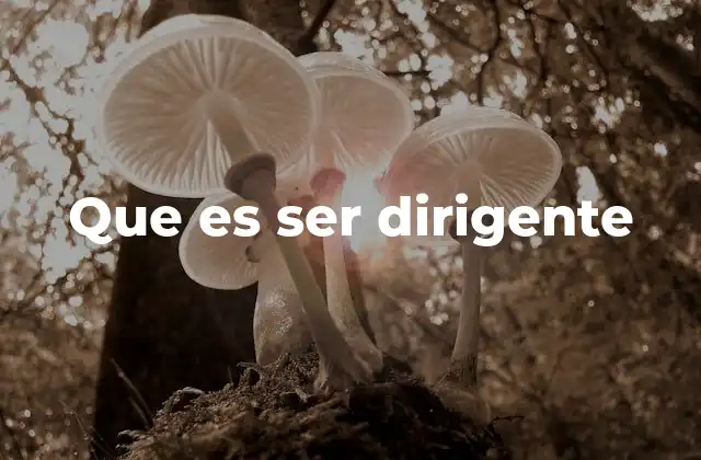 Que es Ser Dirigente