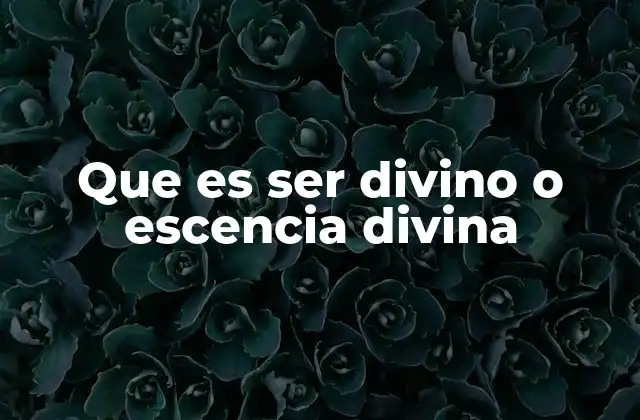 Que es Ser Divino o Escencia Divina