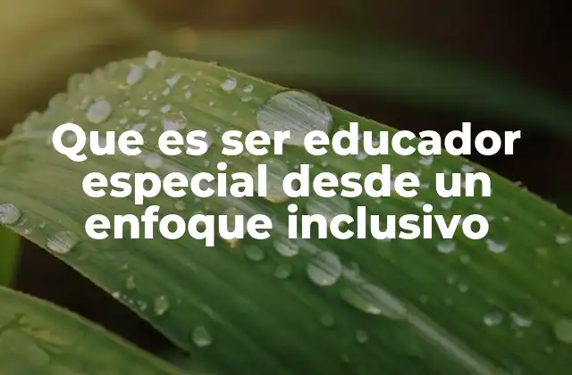 Que es Ser Educador Especial desde un Enfoque Inclusivo