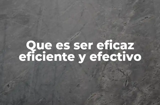 Que es Ser Eficaz Eficiente y Efectivo