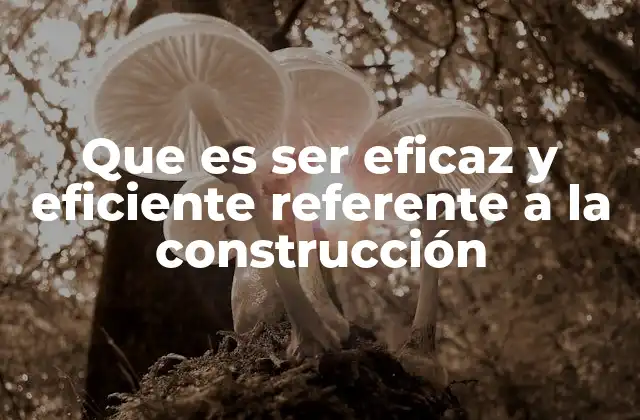 Que es Ser Eficaz y Eficiente Referente a la Construcción