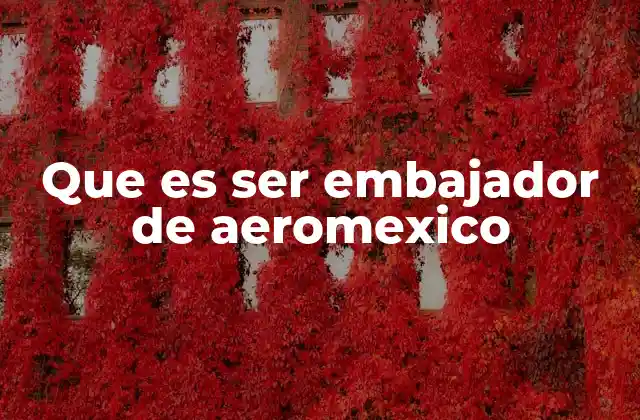 Que es Ser Embajador de Aeromexico