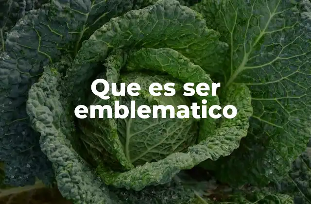 Que es Ser Emblematico