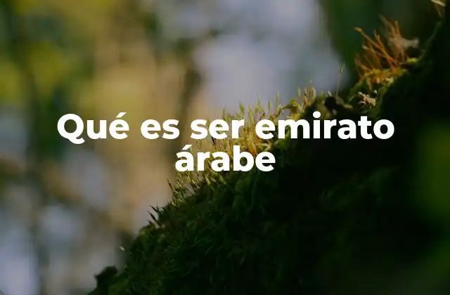 Qué es Ser Emirato Árabe