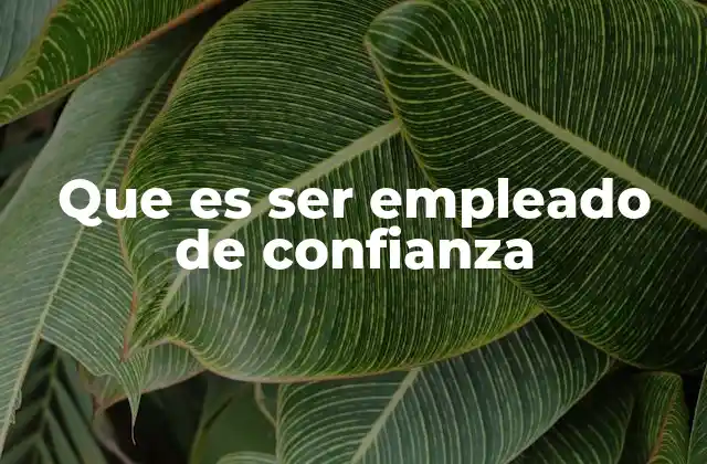Que es Ser Empleado de Confianza