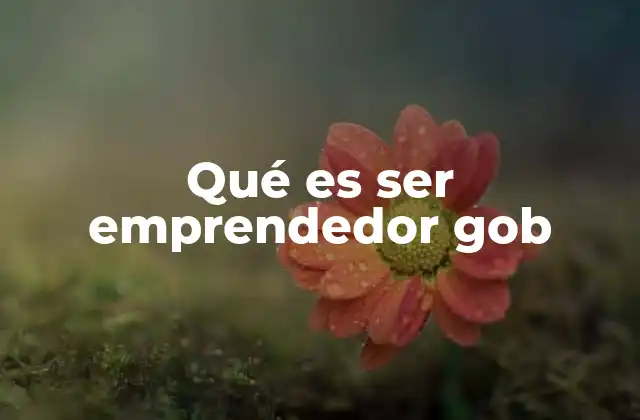 Qué es Ser Emprendedor Gob