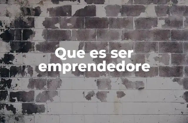 Que es Ser Emprendedore