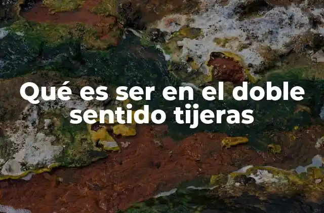 Qué es Ser en el Doble Sentido Tijeras 2 La dualidad como herramienta de interpretación
