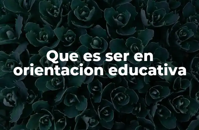 Que es Ser en Orientacion Educativa