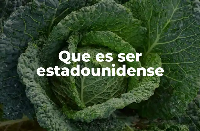 Que es Ser Estadounidense