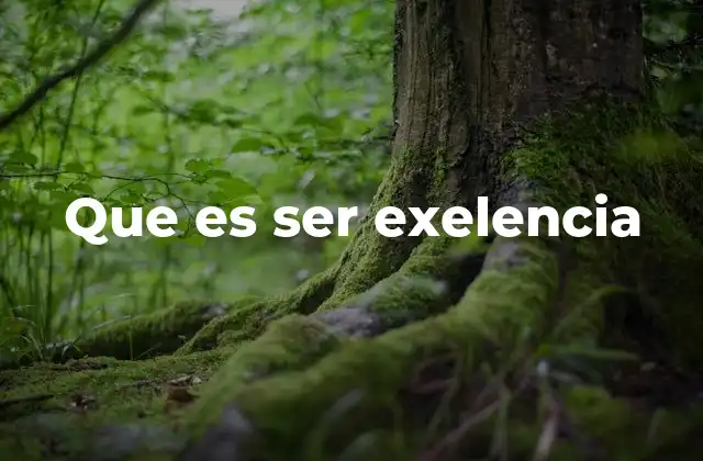 Que es Ser Exelencia 2 La excelencia como filosofía de vida