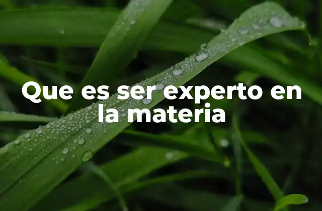Que es Ser Experto en la Materia