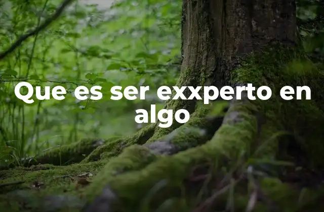 Que es Ser Exxperto en Algo