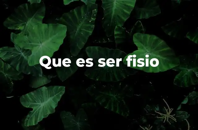 Que es Ser Fisio