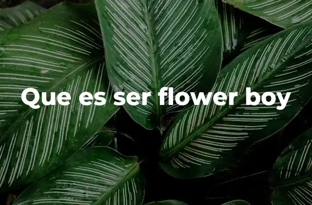 Que es Ser Flower Boy 2 El origen del fenómeno flower boy en la cultura pop