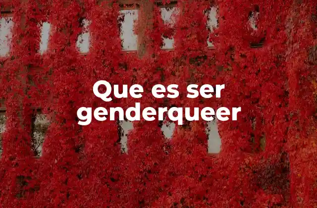 Que es Ser Genderqueer 2 La diversidad de la experiencia de género
