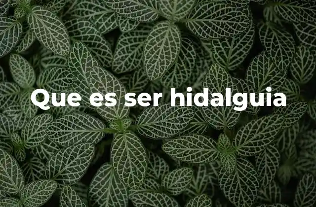 Que es Ser Hidalguia