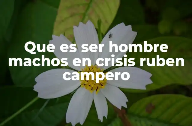 La evolución de la masculinidad en el siglo XXI