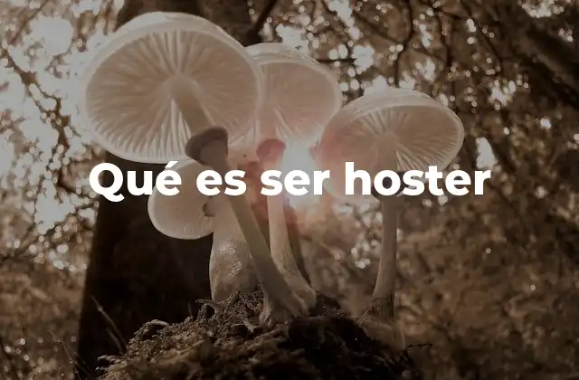 Qué es Ser Hoster