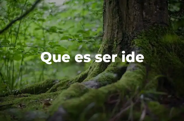 Que es Ser Ide