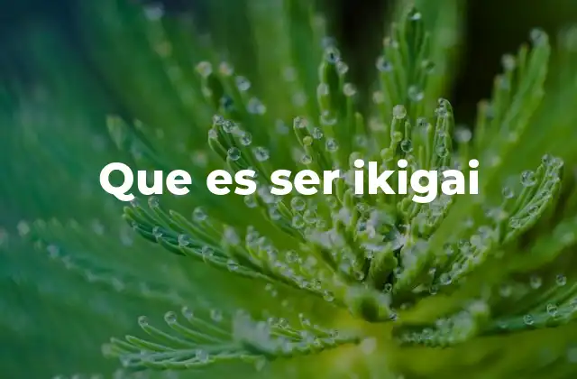 Que es Ser Ikigai