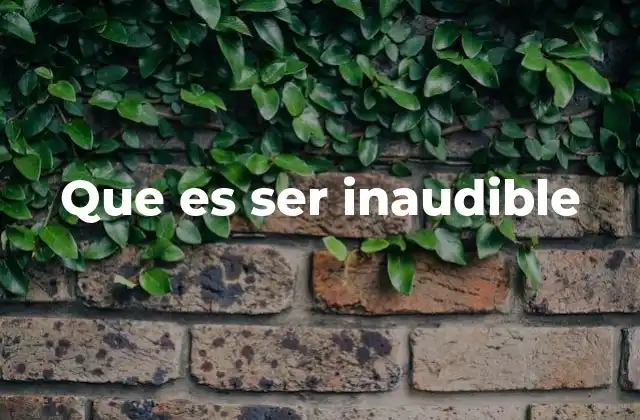 Que es Ser Inaudible