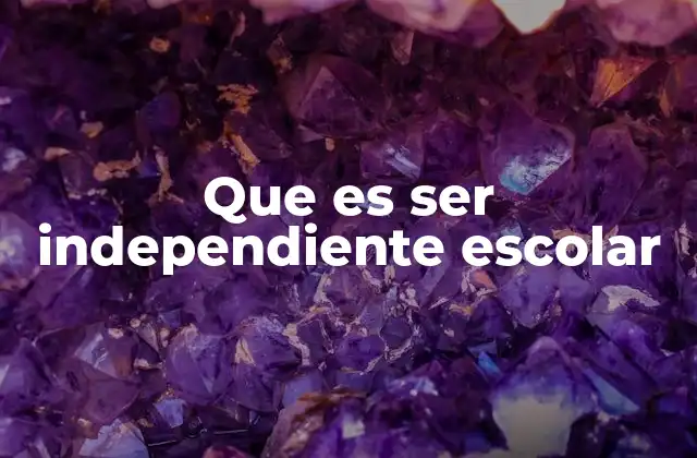 Que es Ser Independiente Escolar