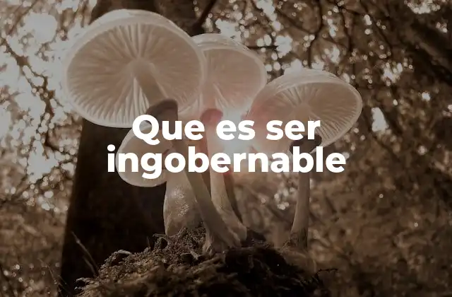 Que es Ser Ingobernable