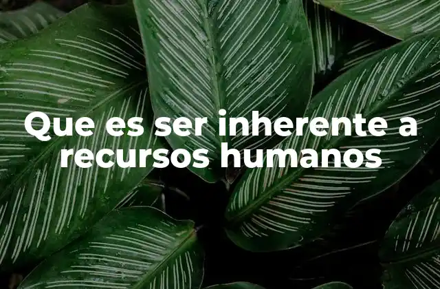 Que es Ser Inherente a Recursos Humanos 2 El impacto de las funciones inherentes en la cultura organizacional