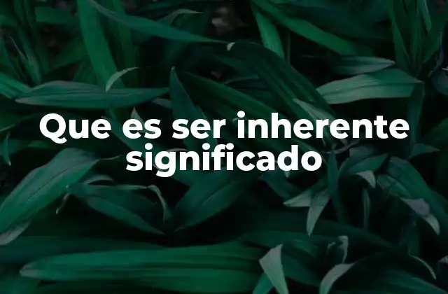 Que es Ser Inherente Significado