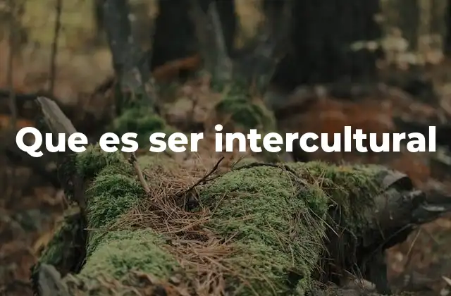 Que es Ser Intercultural