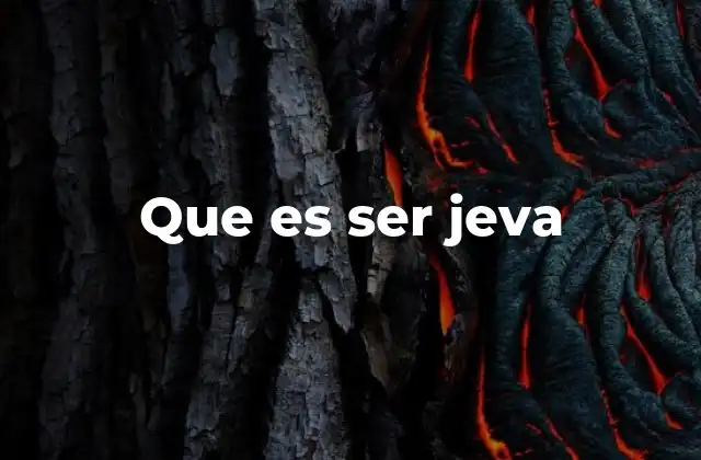 Que es Ser Jeva