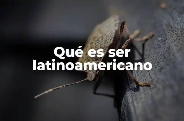 Qué es Ser Latinoamericano