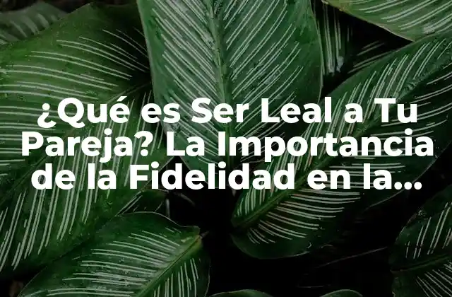 ¿qué es Ser Leal a Tu Pareja? la Importancia de la Fidelidad en la Relación