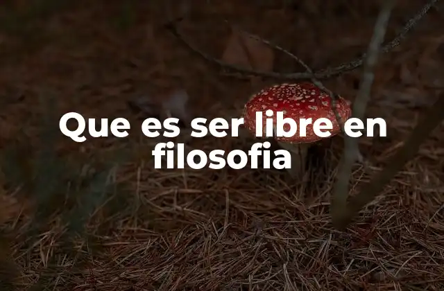 Que es Ser Libre en Filosofia