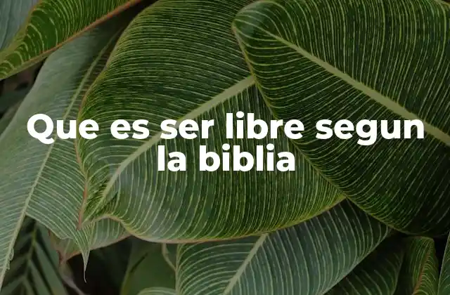 Que es Ser Libre Segun la Biblia 2 La libertad en el contexto histórico de la Biblia